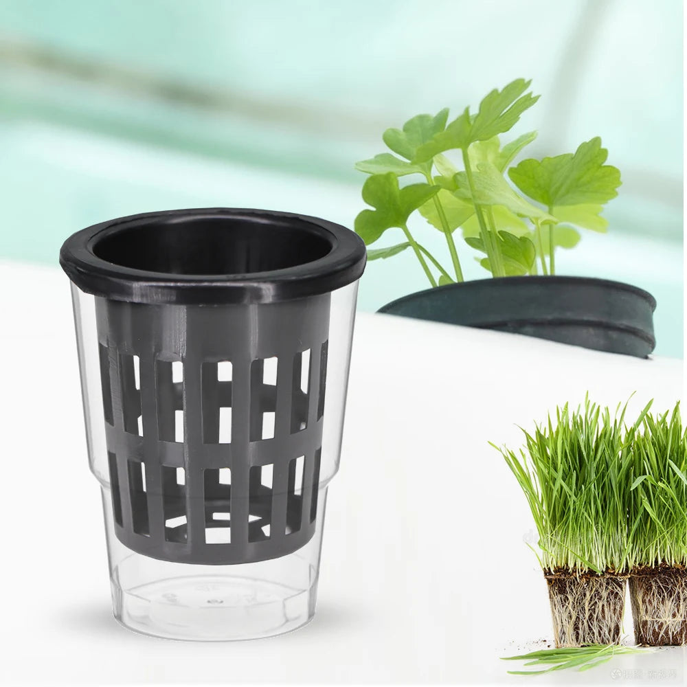 10-Pack Heavy-Duty Hydroponic Net Pots – Slotted Mesh Planting Baskets for Aquaponics, Orchids & Greenhouse Use