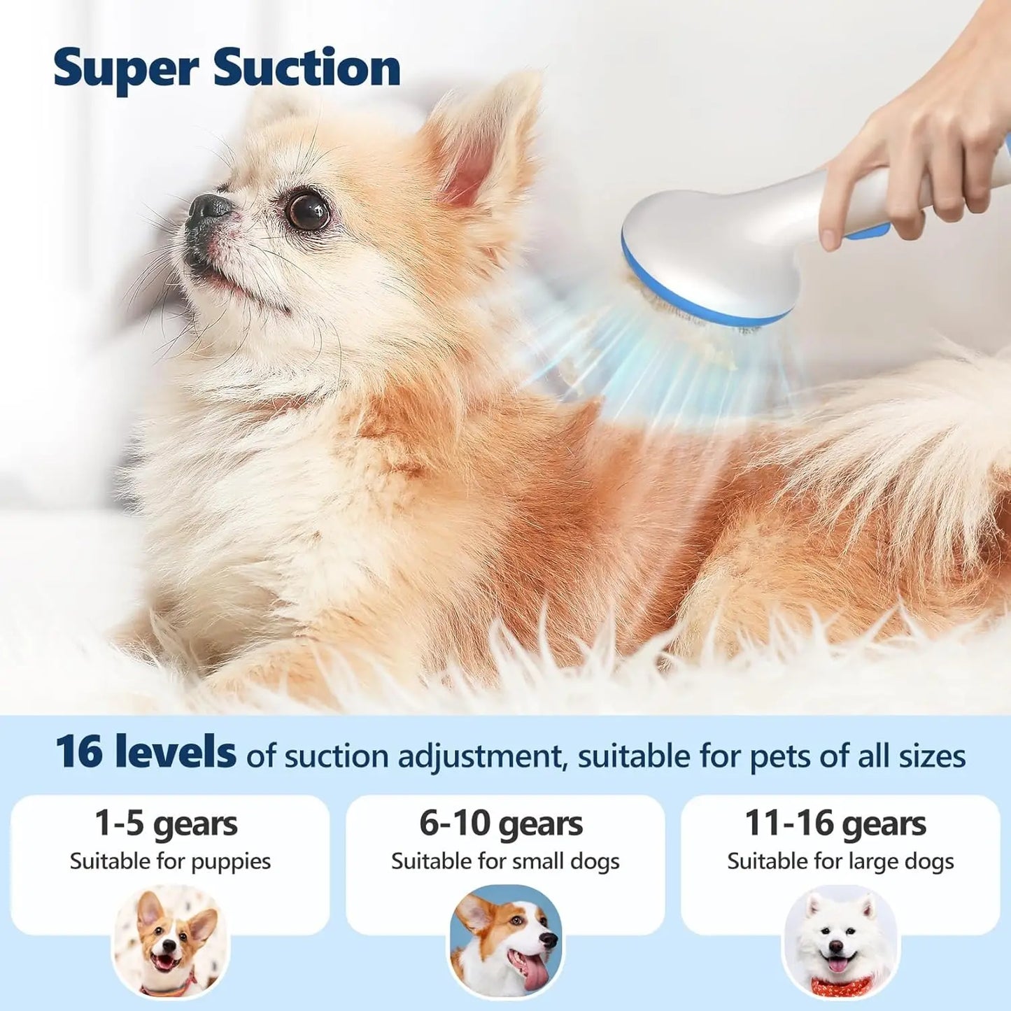 5-in-1 Pet Grooming Vacuum Kit – Low Noise Hair Remover with 2.0L Dust Cup for Shedding Dogs & Cats