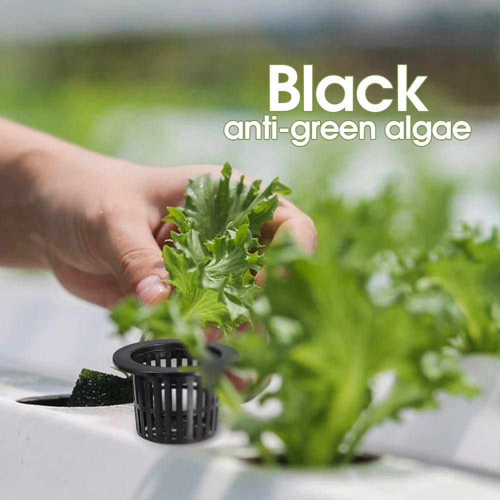 10-Pack Heavy-Duty Hydroponic Net Pots – Slotted Mesh Planting Baskets for Aquaponics, Orchids & Greenhouse Use