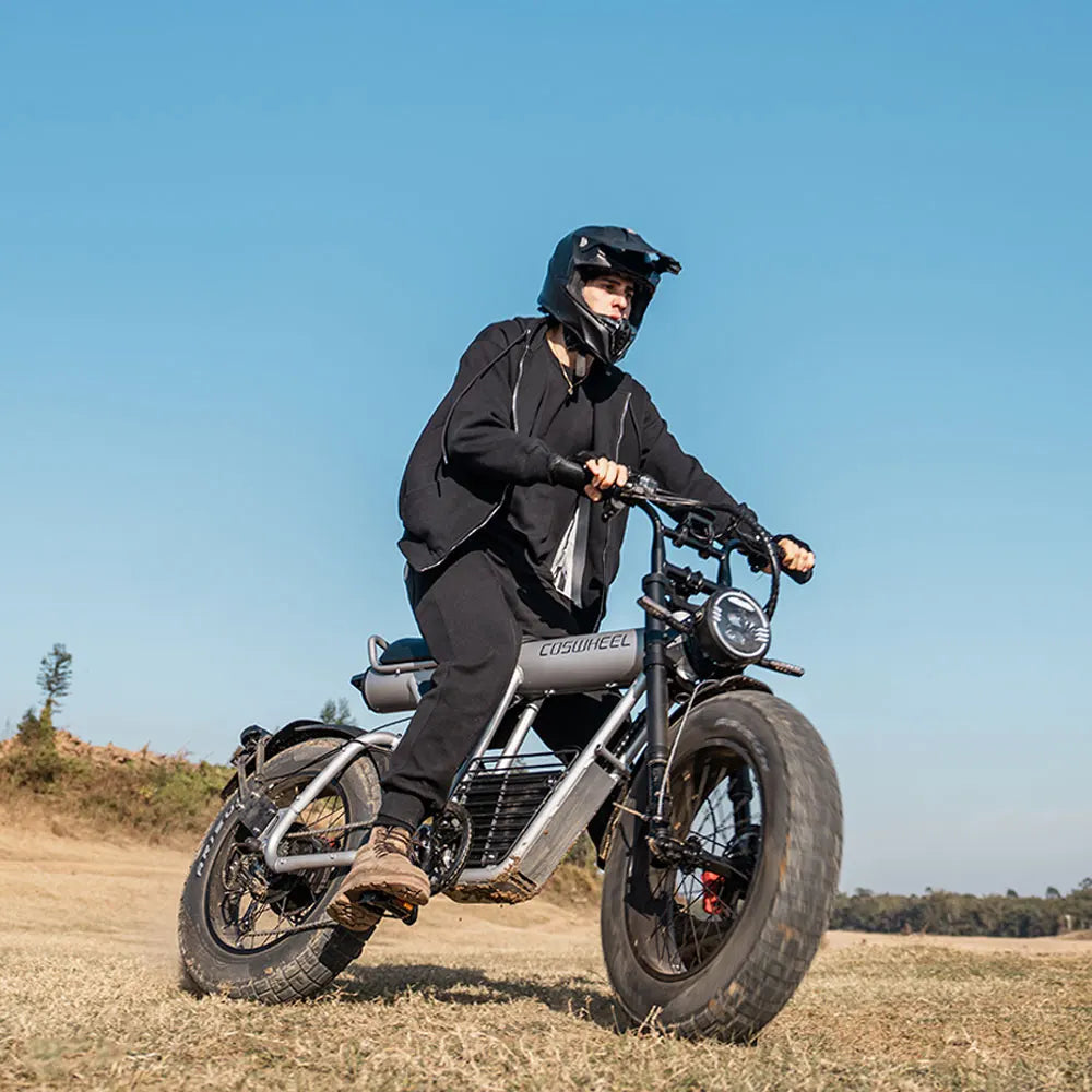 Ride Wild: 2000W Fat Tire Electric Bike with 60V Battery for Off-Road Power