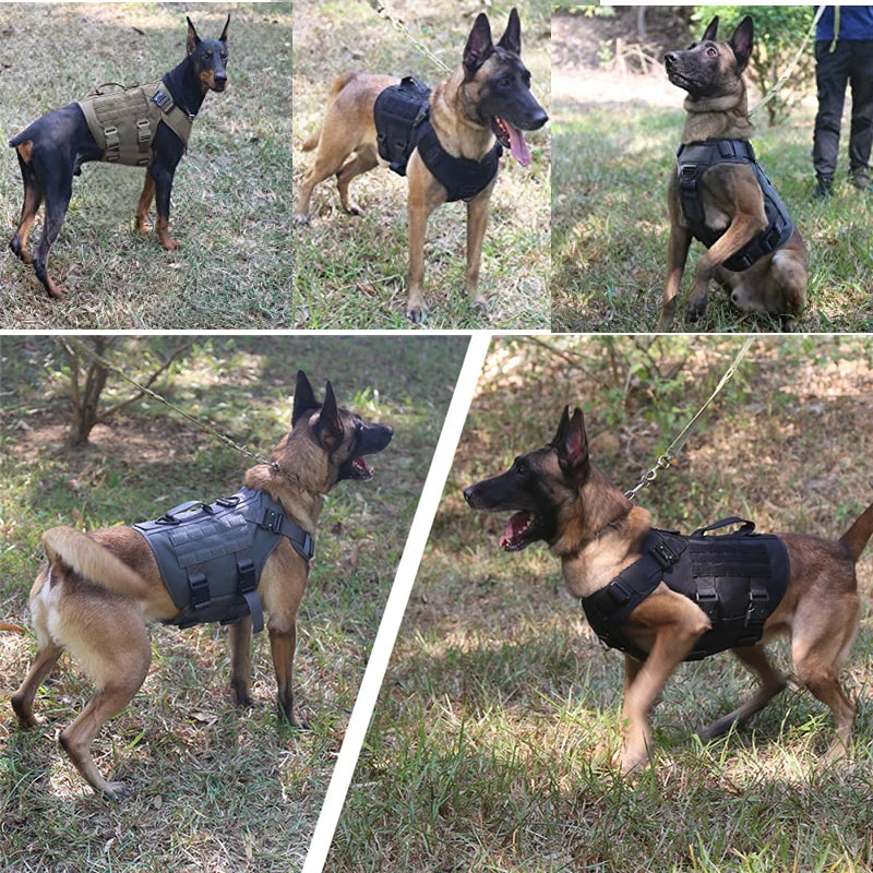 Tactical Dog Harness and Leash Set – Military Training Vest for German Shepherd, Golden Retriever & All Breeds