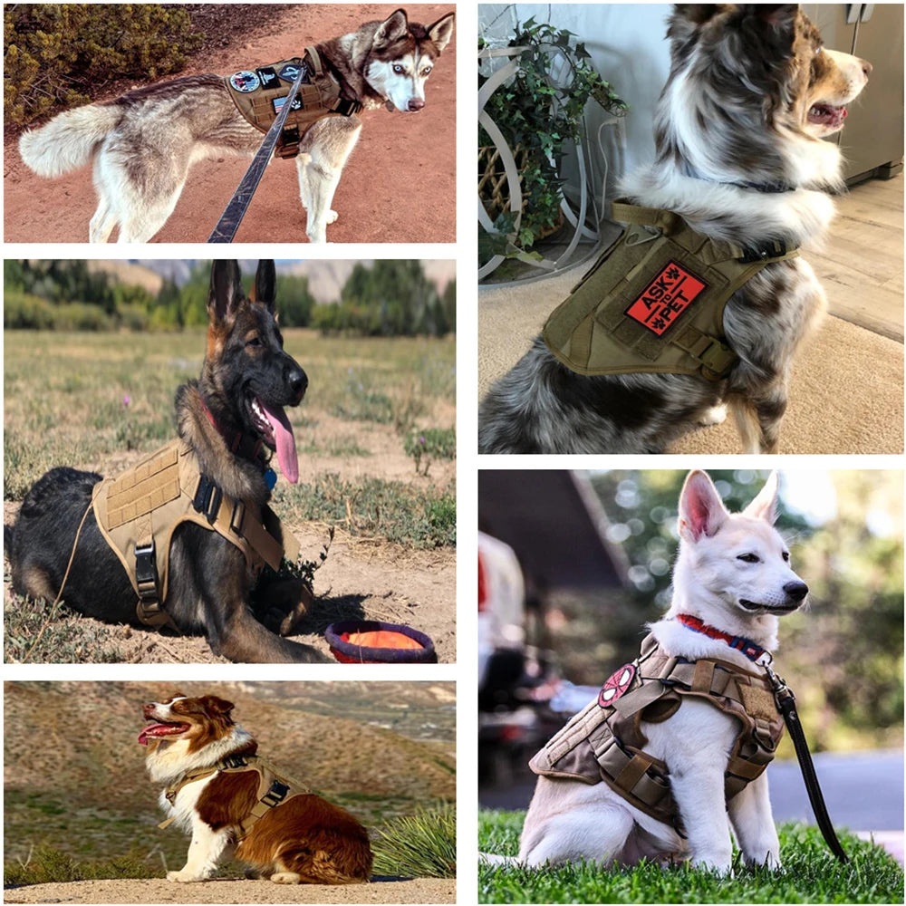 Tactical Dog Harness and Leash Set for All Breeds: Ideal for German Shepherds and K9 Malinois Training