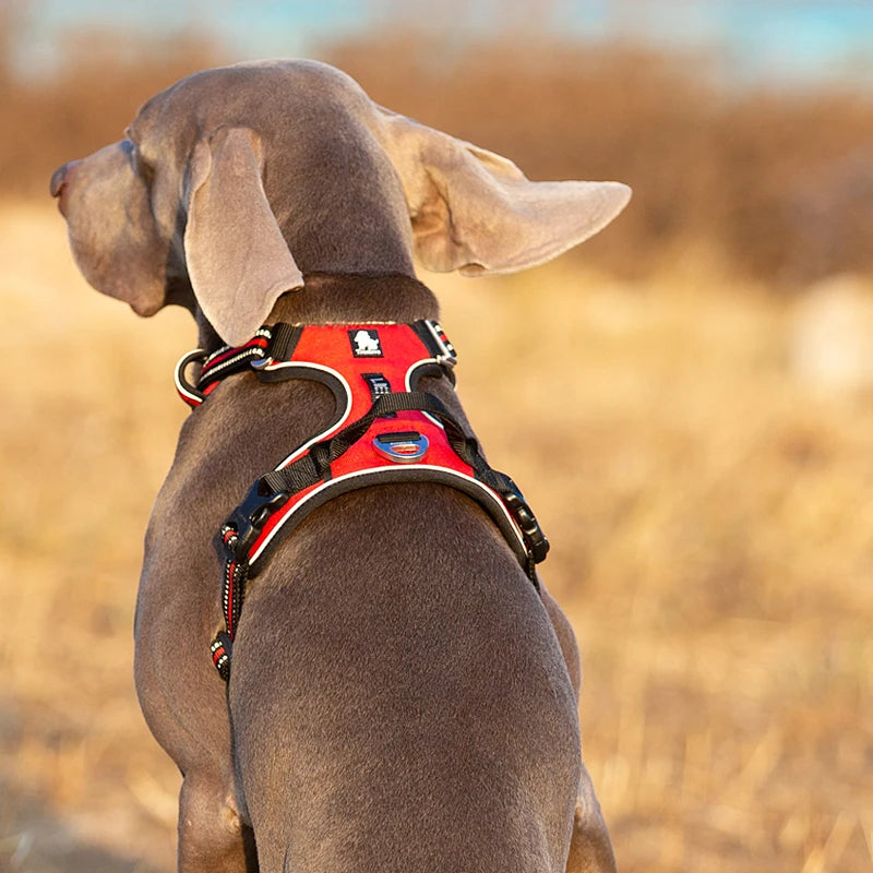 Truelove Reflective No-Pull Adjustable Nylon Dog Harness: Safety Vest for Medium to Large Dogs, Ideal for Walking, Running, and Vehicle Use