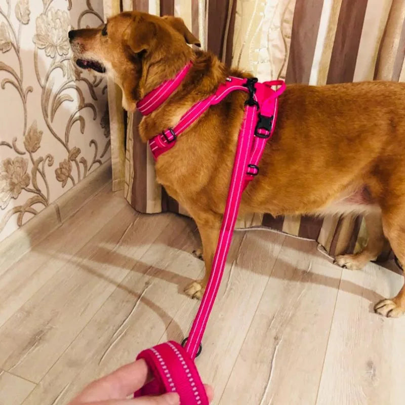 Truelove 110cm Pink Mesh Padded Dog Leash: Durable, Reflective, and Safe Nylon Training Lead for Pets