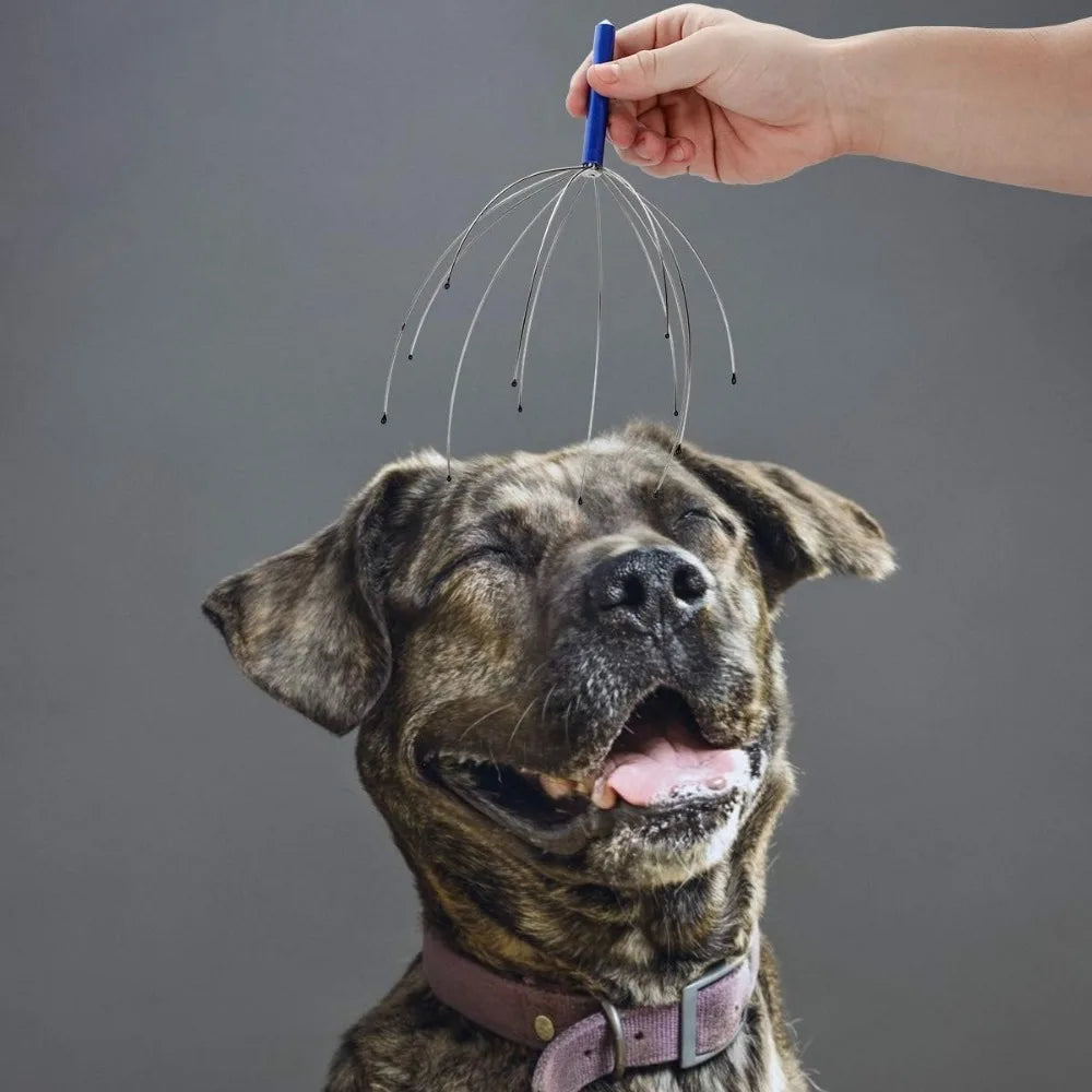 Handheld Scalp Massagers – Stress-Relieving Head Scratchers for Hair Stimulation & Relaxation