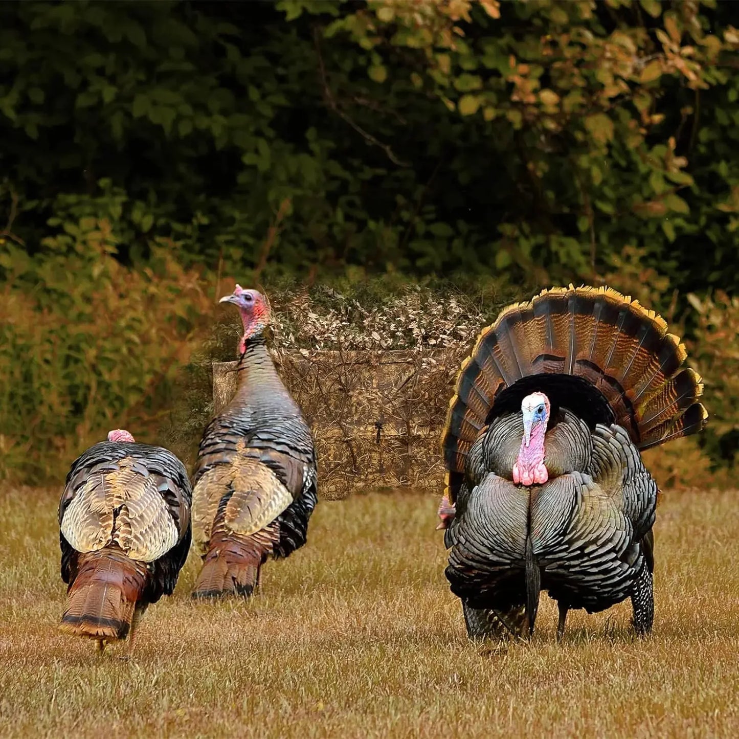 Easy-to-Install Pop-Up Ground Blinds – Perfect Hay Camo Tent for Deer, Turkey, and Duck Hunting