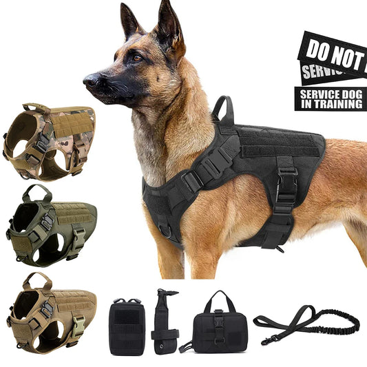 Tactical Dog Harness and Leash Set for All Breeds: Ideal for German Shepherds and K9 Malinois Training