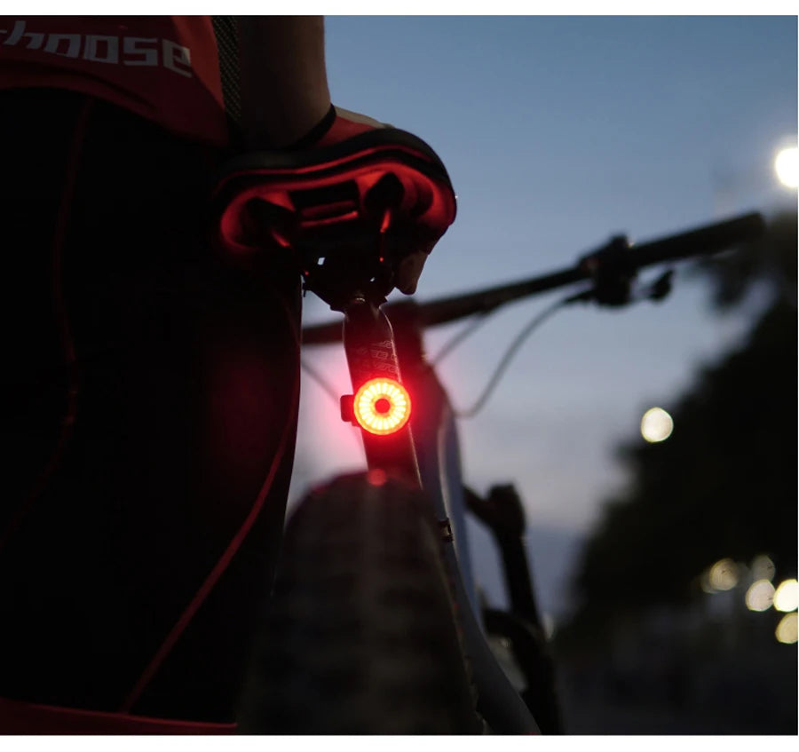 USB Rechargeable Smart Road Bike LED Tail Light with Brake Sensor, IPx6 Waterproof for Mountain Bikes