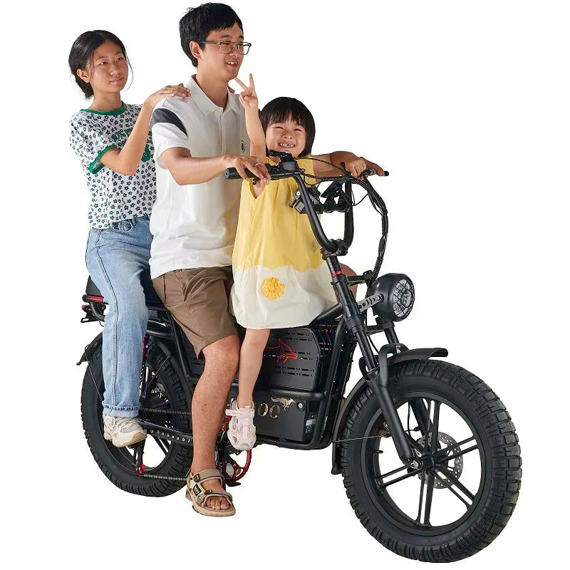 20″ Adult Electric Mountain Bike – 2000W Brushless Motor, 48V 60Ah Battery, Dual-Suspension Off‑Road Ebike