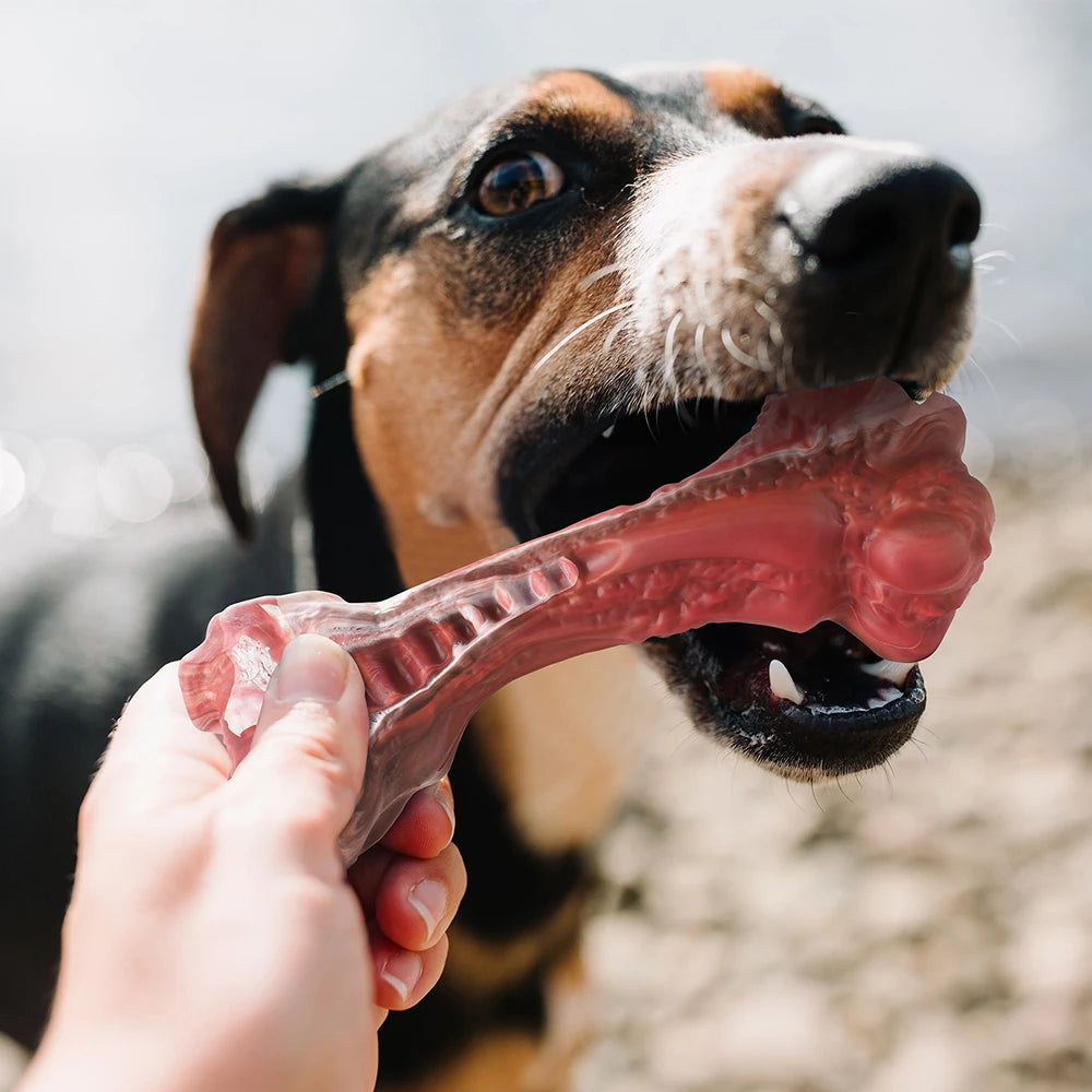 Indestructible Bone-Shaped Dog Toy for Large Aggressive Chewers: Durable Nylon for Interactive Play and Teeth Cleaning