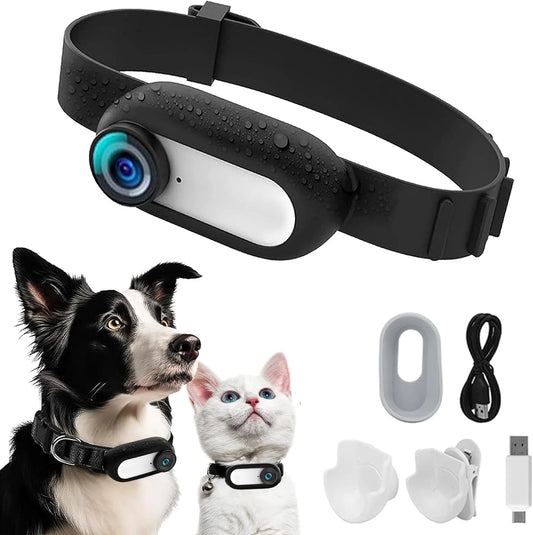 Wireless Dog & Cat Tracker Collar with Camera – No Wi-Fi Needed! Record Outdoor Adventures in Real-Time