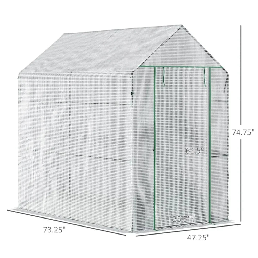 Spacious Walk-In Greenhouse with Roll-Up Door for All-Season Plant Protection